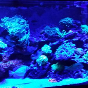 Meet your Posher, Tom